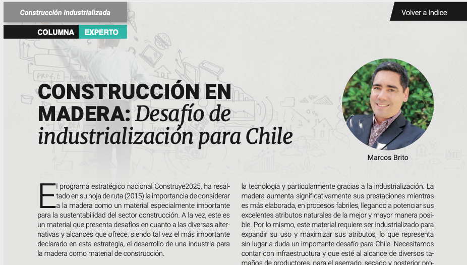 Construcción en madera: Desafío de industrialización para Chile